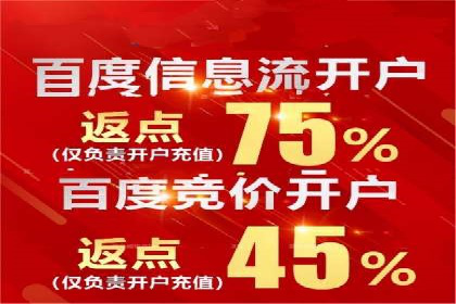 实战案例：如何利用百度推广拓展市场份额